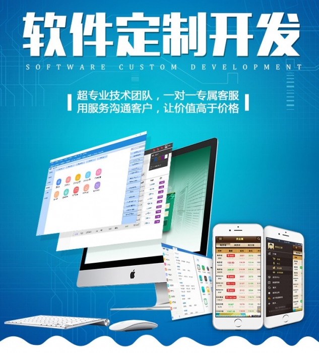 1605426904499831 行业软件开发