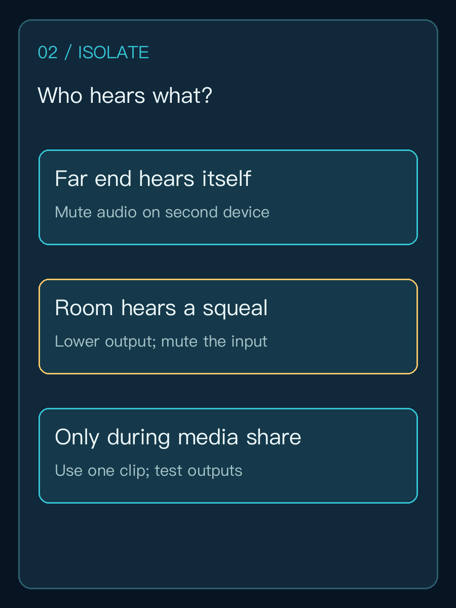 Three echo observations and their first isolation action